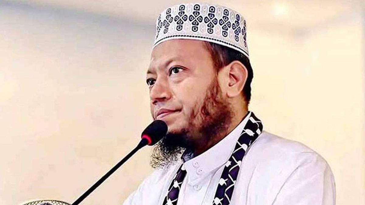 মেকানিজম হলেও গণতন্ত্রের বিজয় হয়েছে : আমির হামজা