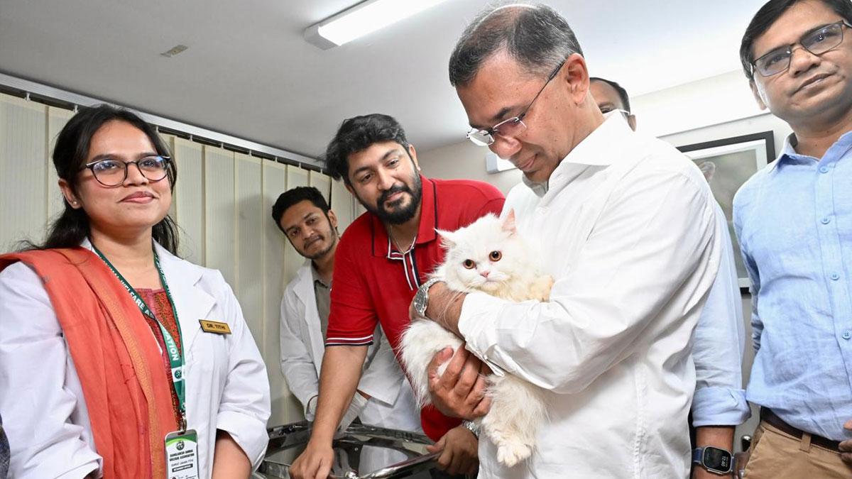 বনানীতে ‘ফ্রি অ্যানিমেল ক্লিনিক’ উদ্বোধন করলেন তারেক রহমান