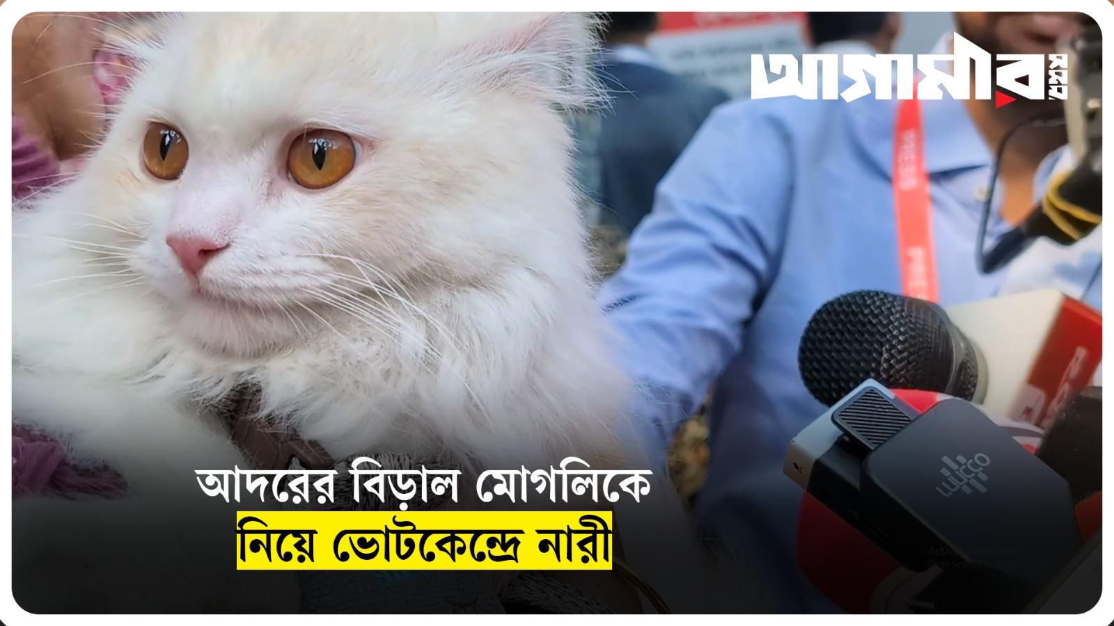 আদরের বিড়াল মোগলিকে নিয়ে ভোটকেন্দ্রে নারী