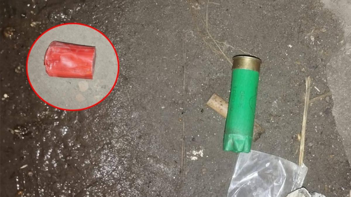 বিএনপি নেতার অফিসে গুলি ও ককটেল নিক্ষেপ, আহত ১