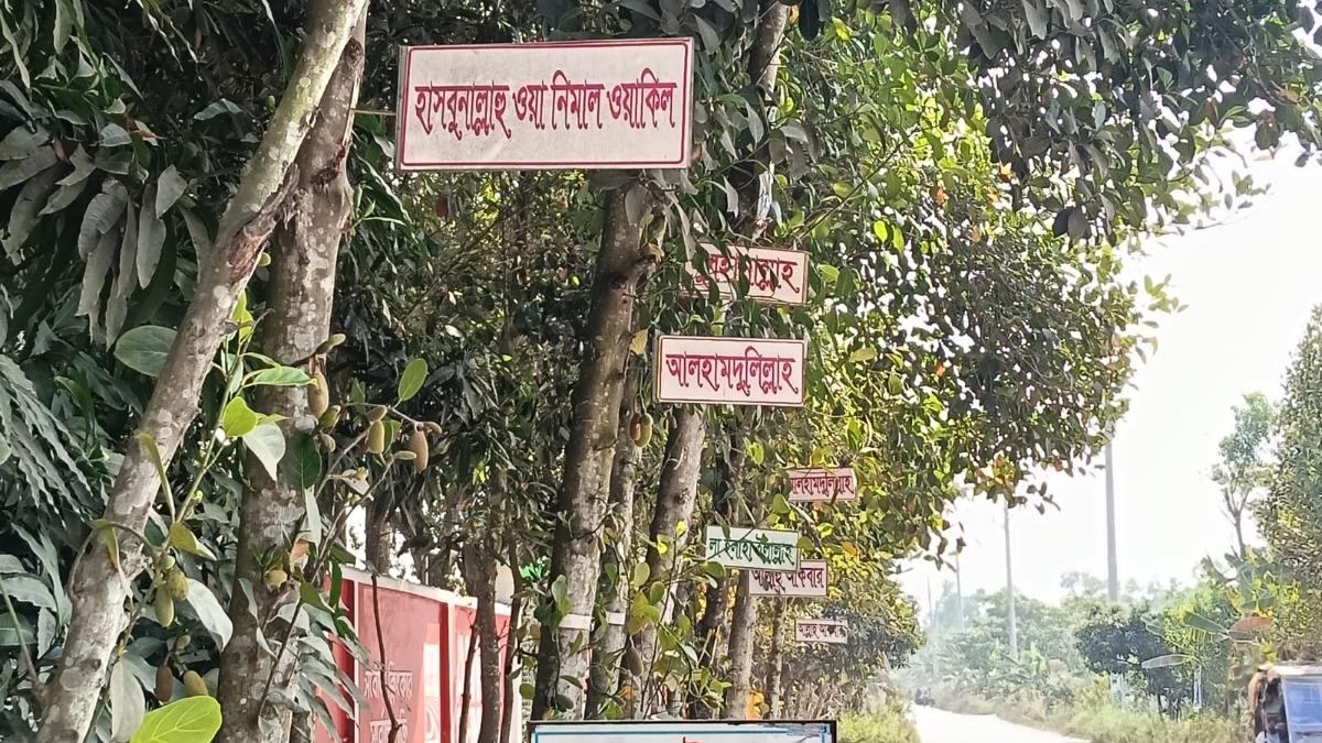 সড়কের পাশে গাছে গাছে দোয়ার সাইনবোর্ড