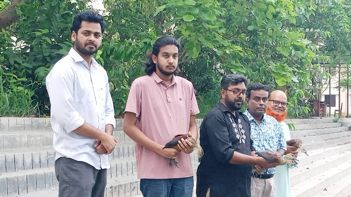 বিক্রির জন্য আনা ৪ পাতি সরালি হাঁস পাবিপ্রবিতে অবমুক্ত