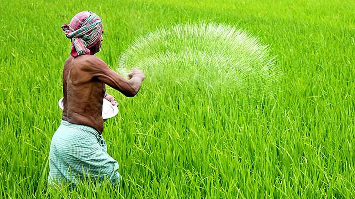 ইরান যুদ্ধের কারণে বাংলাদেশে সার সংকটের শঙ্কা কতটা?