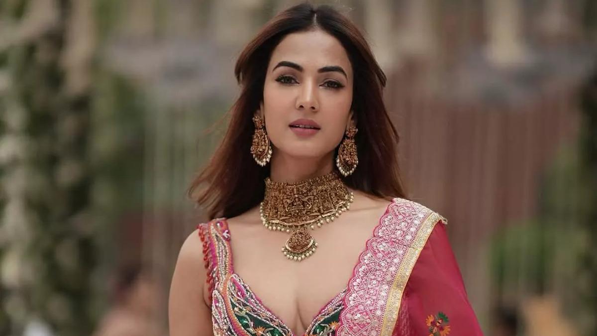 দুবাইয়ে আটকা সোনাল, উদ্ধারের আকুতি জানিয়ে মোদিকে বার্তা