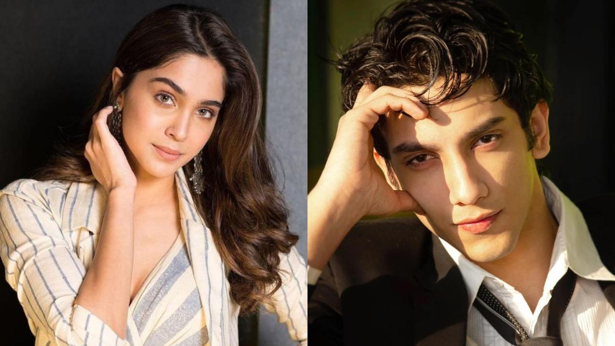 ‘জাব উই মেট’ এর রিবুটে গীত ও আদিত্য হতে পারেন শর্বরী ও বেদাং