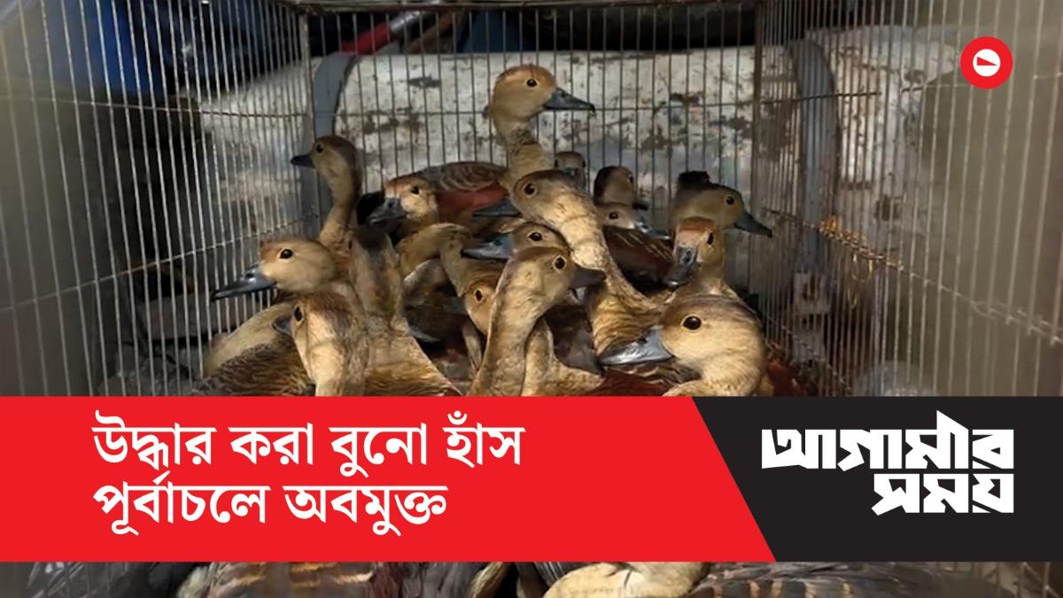 বনানী থেকে উদ্ধার করা বুনো হাঁস পূর্বাচলে অবমুক্ত