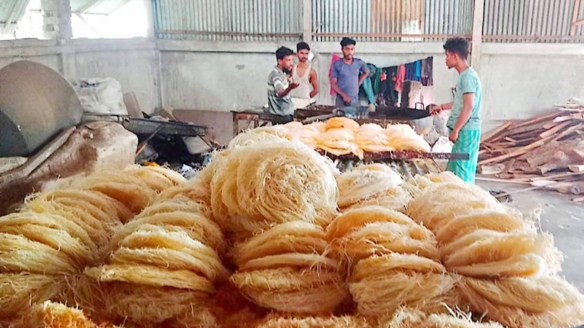 টাঙ্গাইলের তিন সেমাই কারখানাকে ৭০ হাজার টাকা জরিমানা