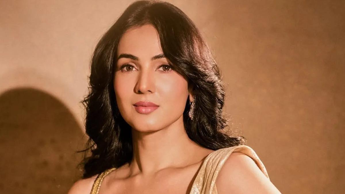 নিরাপদে দেশে ফিরেছেন সোনাল চৌহান
