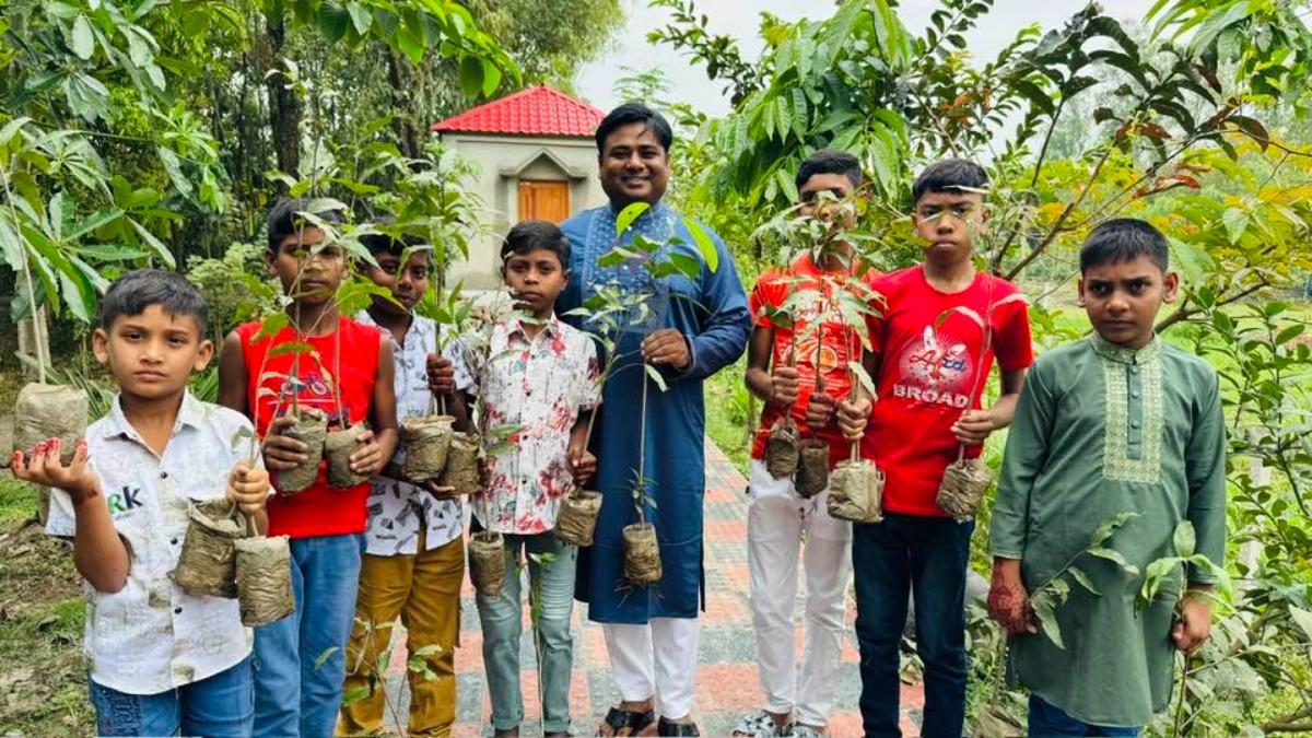 ঈদের সালামি দেবদারুর চারা