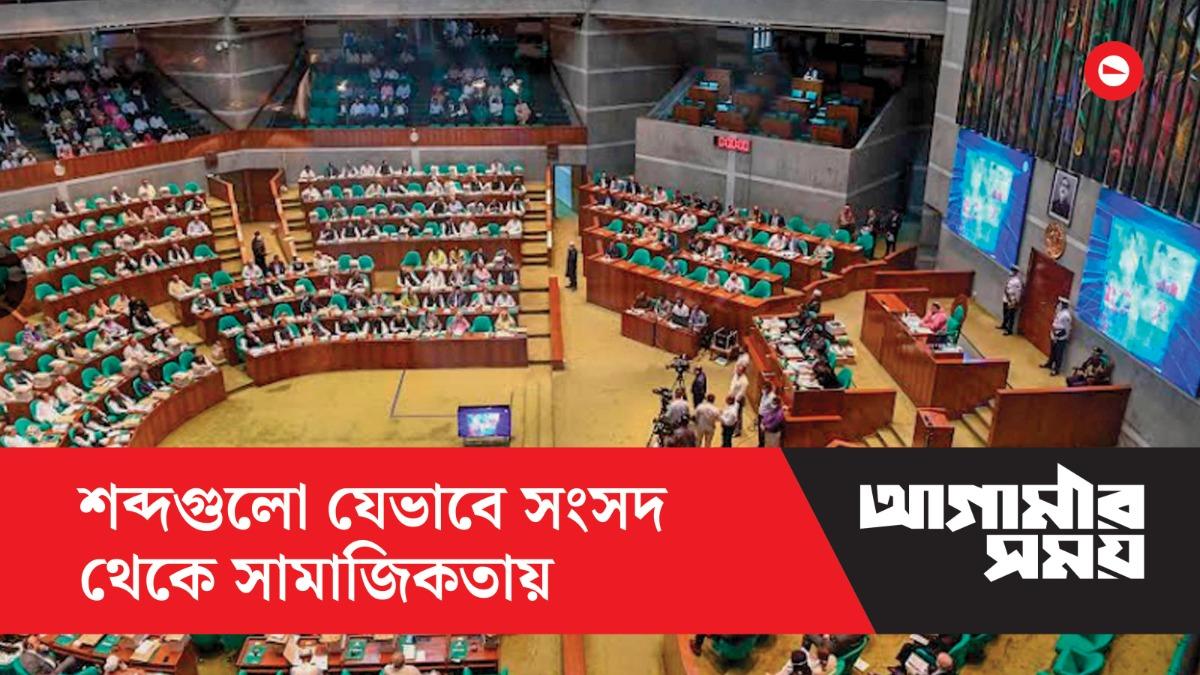 মতামত, আপনি বসুন, মাননীয় স্পিকার এই শব্দগুলো যেভাবে সংসদ থেকে সামাজিকতায়