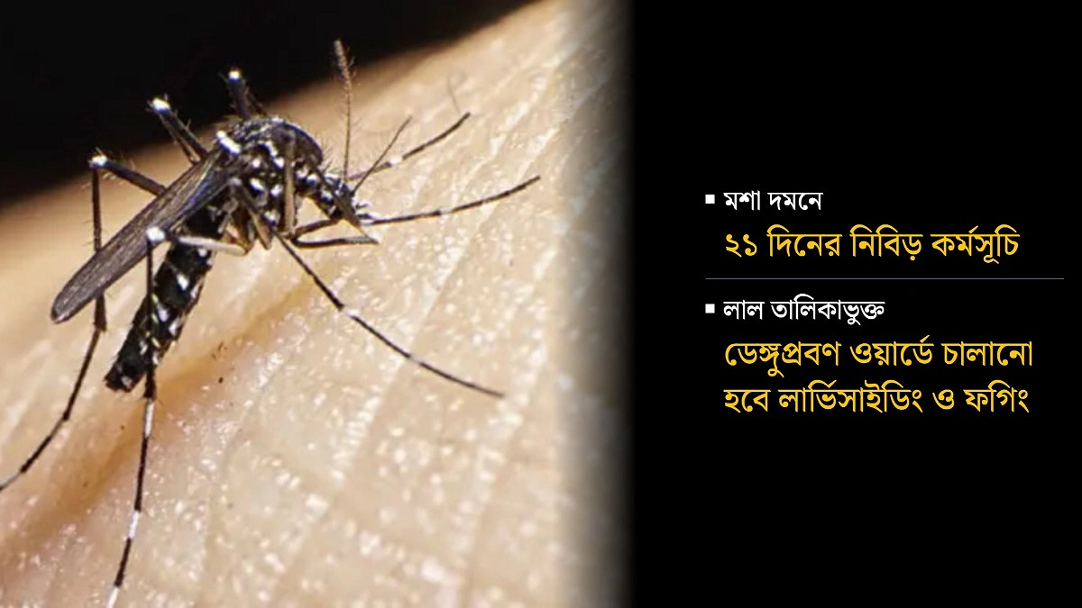 ডিএনসিসির ‘অপারেশন ক্লিন হোমস’ কি পারবে স্বস্তি ফেরাতে?