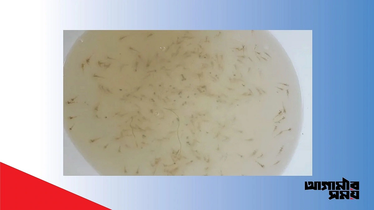 ৬ কোটি টাকার চিংড়ি রেনু উদ্ধার, কর্ণফুলীতে অবমুক্ত