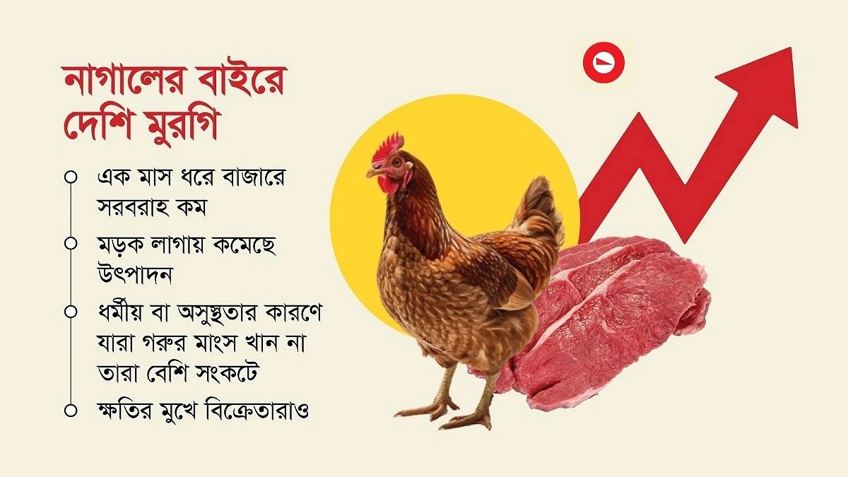 দেশি মুরগি গরুর সমান!