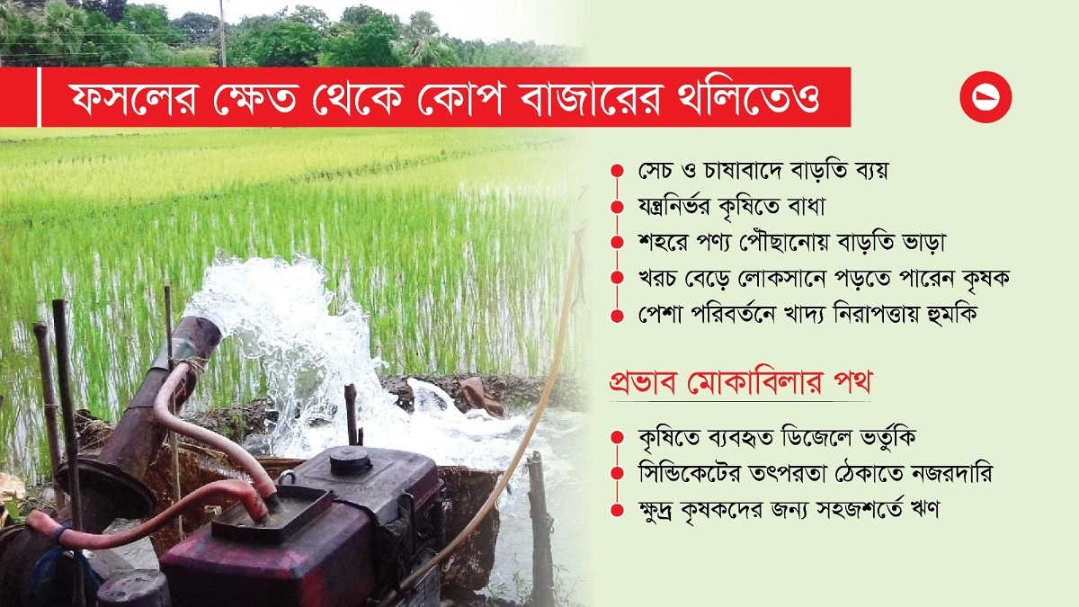 তেলের দামে লাফ, খাবারের প্লেটে পড়বে টান
