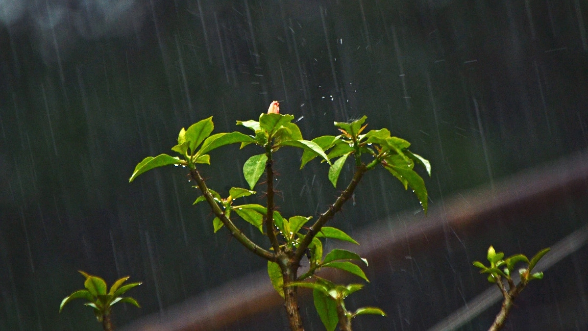 চট্টগ্রামে তীব্র গরমের পর স্বস্তির বৃষ্টি