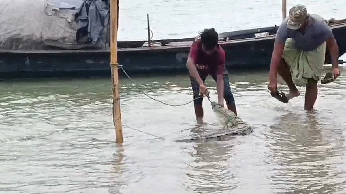 পদ্মার ঘাটে বড়শিতে ধরা পড়ল কুমির