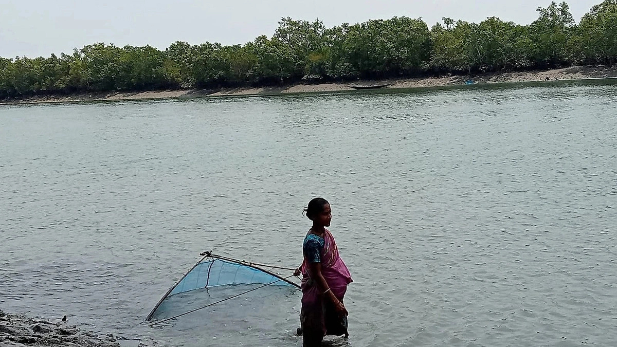 গর্ভে অনাগত সন্তান, তবুও থেমে নেই মায়ের জীবনযুদ্ধ
