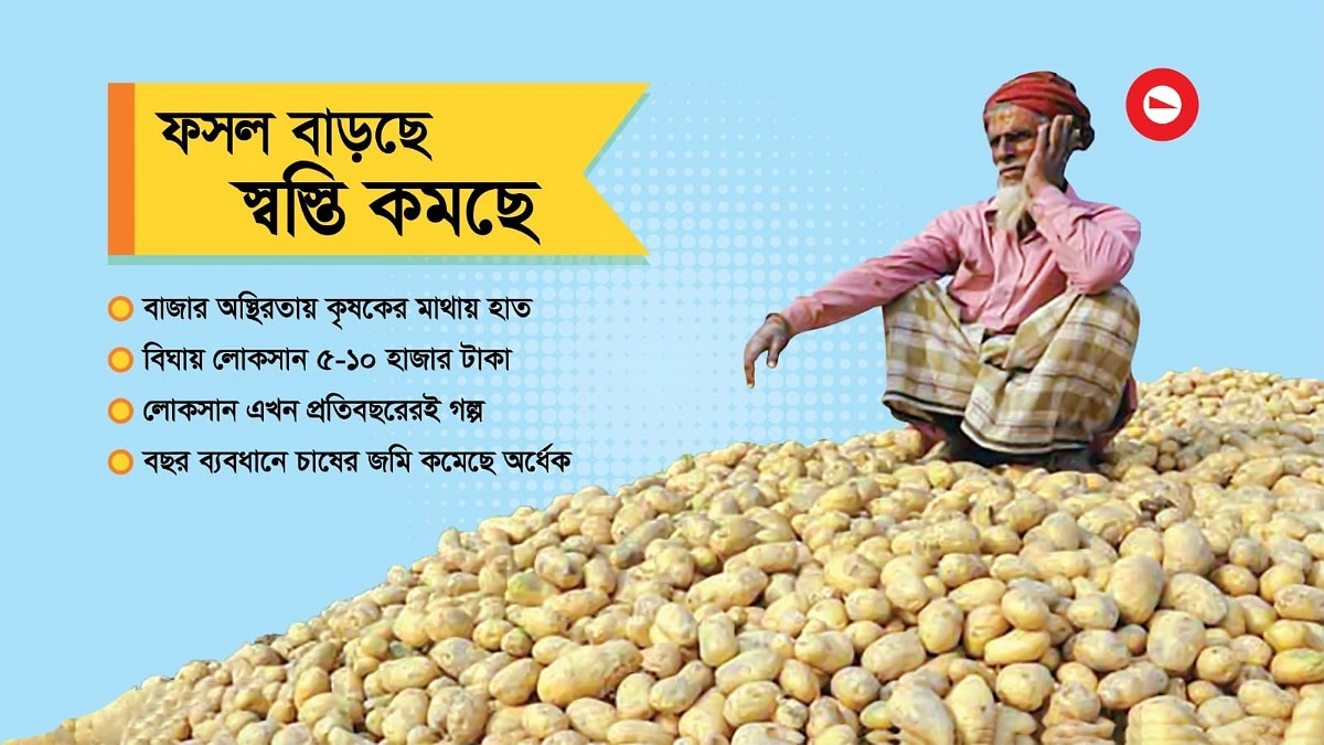মাঠভরা আলুই কেড়েছে কৃষক মীরের ঘুম!