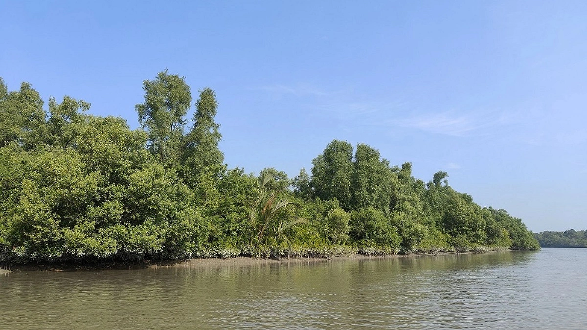 সুন্দরবনে ঝড়ের কবলে নৌকা, নিখোঁজ ৪ মৌয়াল