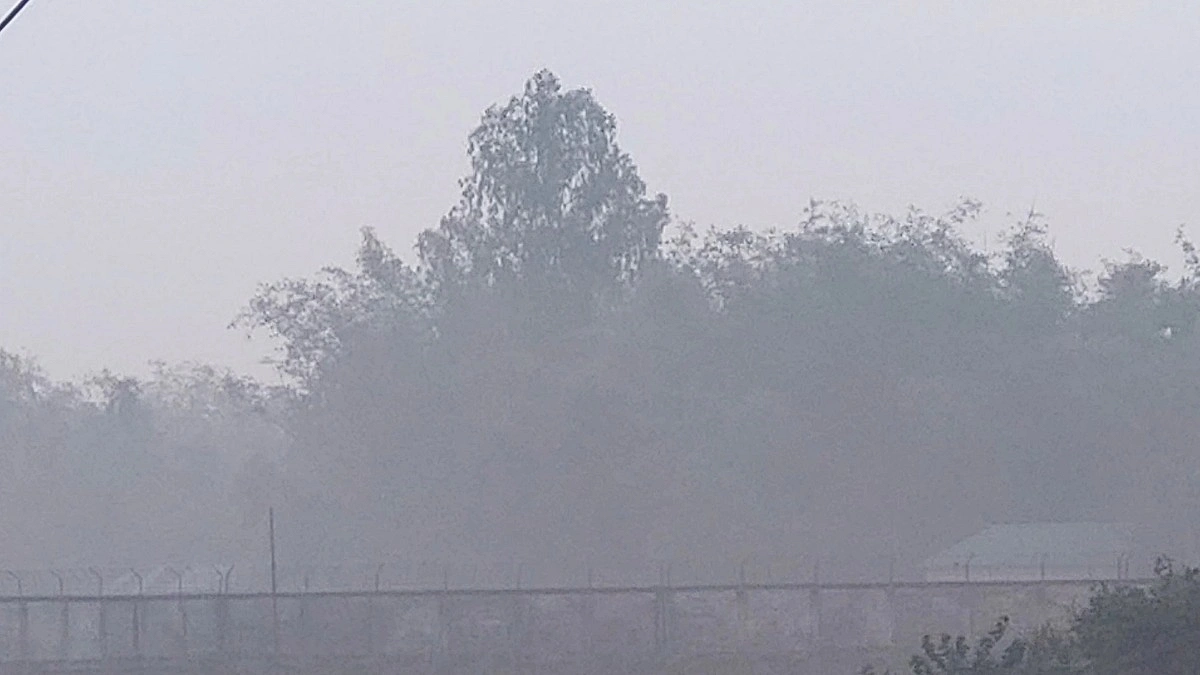 ‘চৈত্র মাসে এমন কুয়াশা অনেক বছরেও দেখিনি’