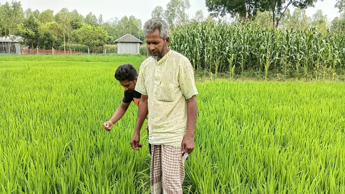 লোডশেডিং-তেল সংকটে দিশেহারা বীরগঞ্জের কৃষক