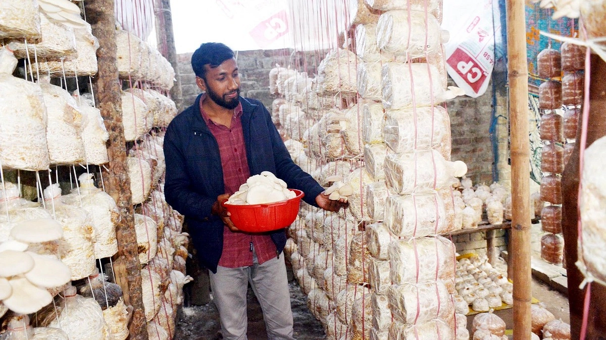 বেকারত্ব থেকে উদ্যোক্তা: শাওনের অনন্য সাফল্য