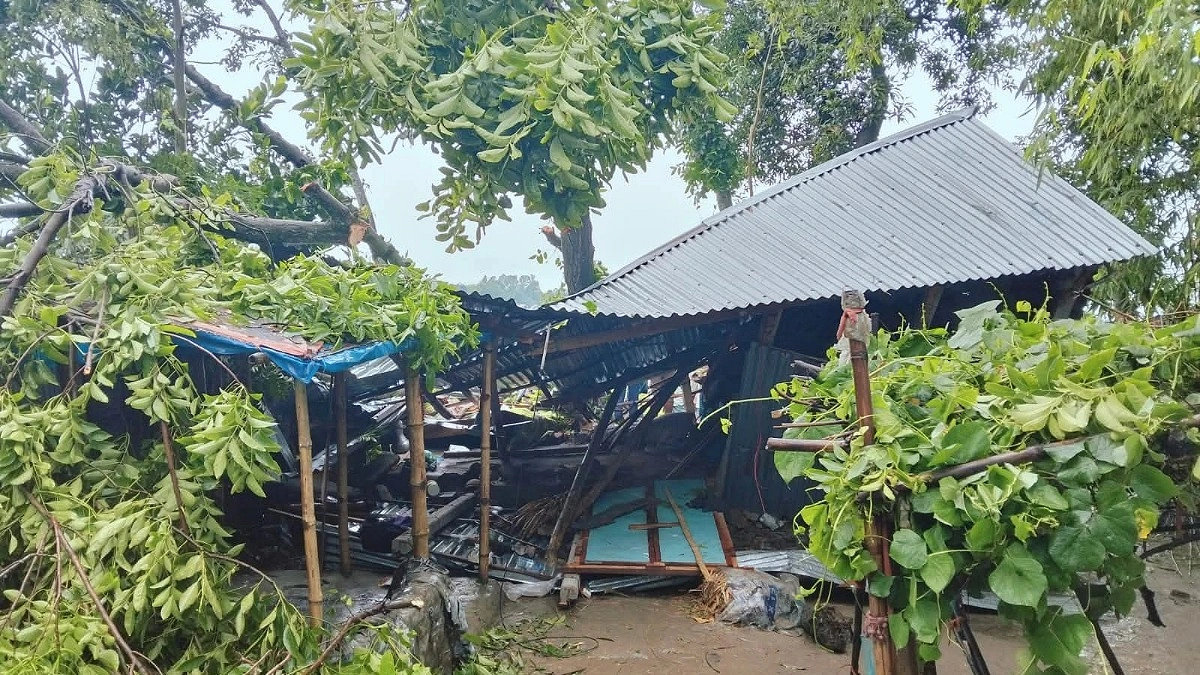 কালবৈশাখীতে ঘরের ওপর গাছ পড়ে মা ও দুই মেয়ের মৃত্যু