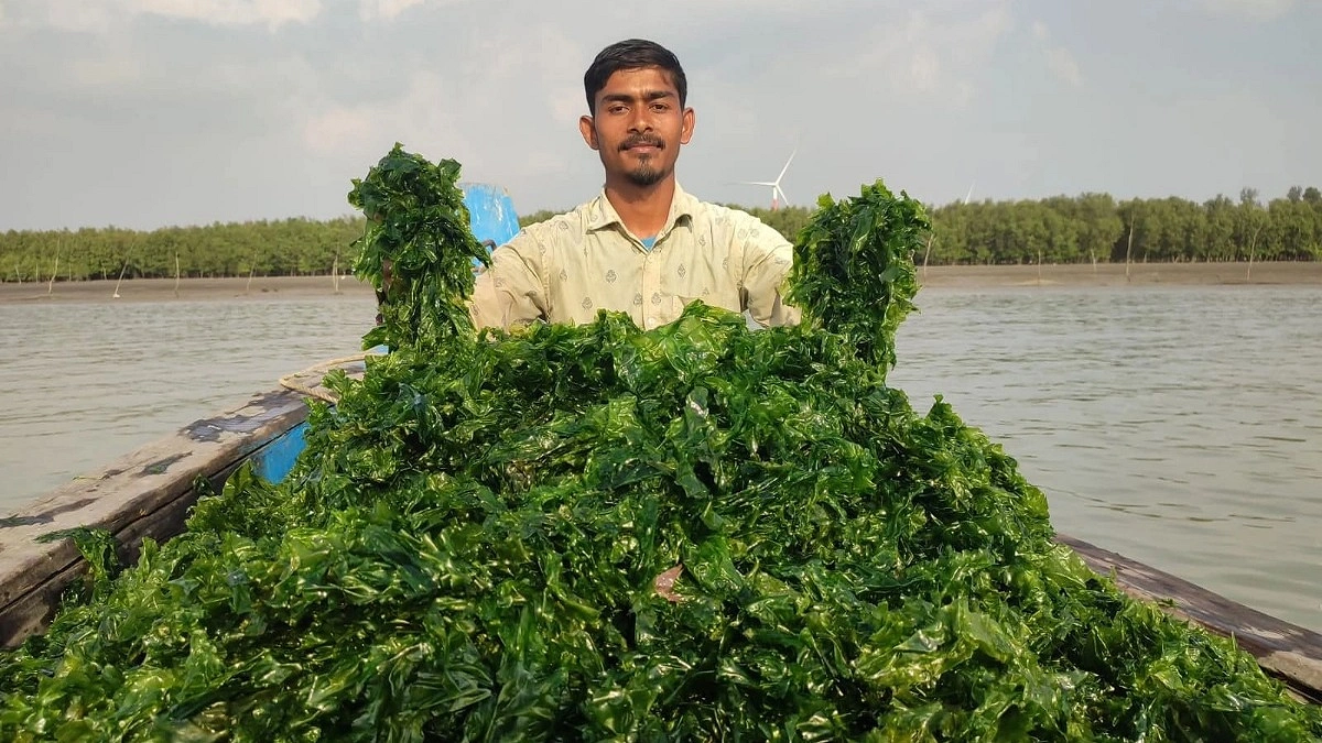 বাজার ব্যবস্থাপনার ঘাটতি ভোগাচ্ছে উদ্যোক্তাদের