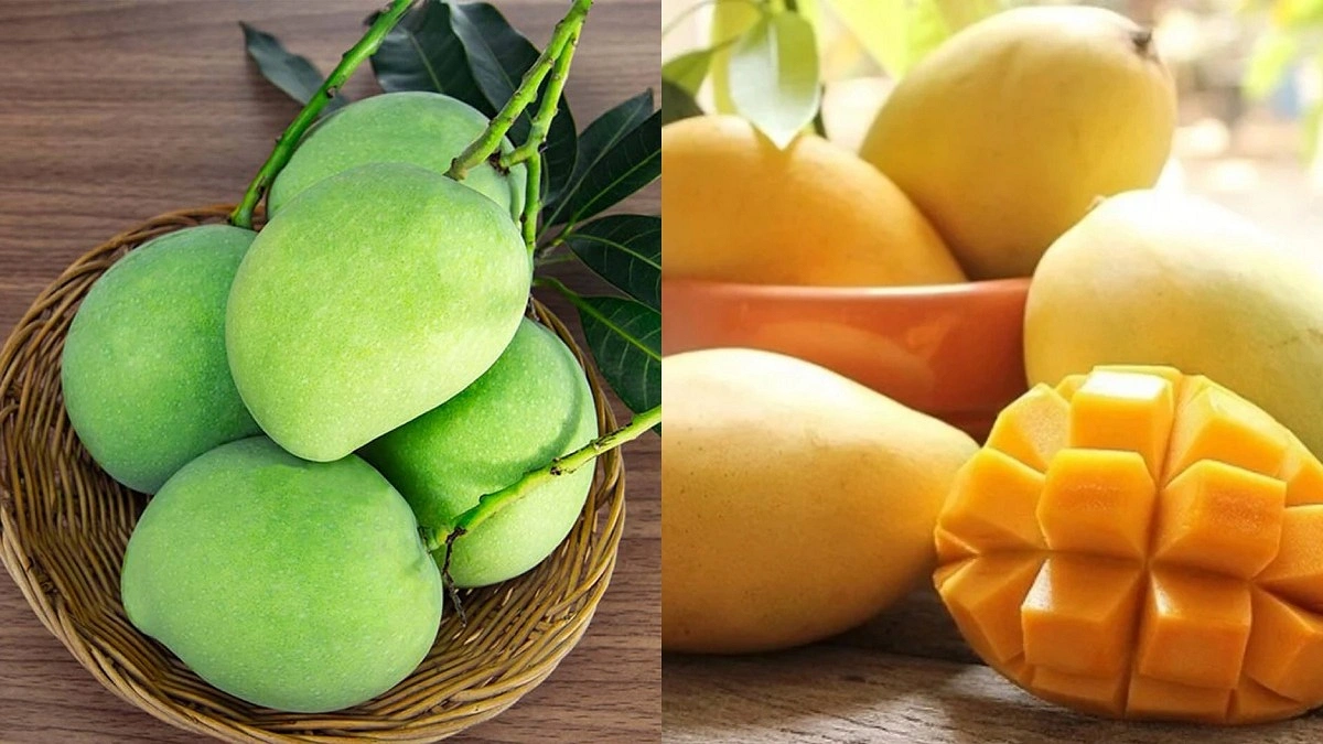 কাঁচা নাকি পাকা আম, স্বাস্থ্যের জন্য কোনটি ভালো