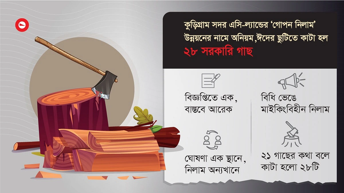 উন্নয়নের নামে ঈদের ছুটিতে কাটা হলো ২৮ গাছ