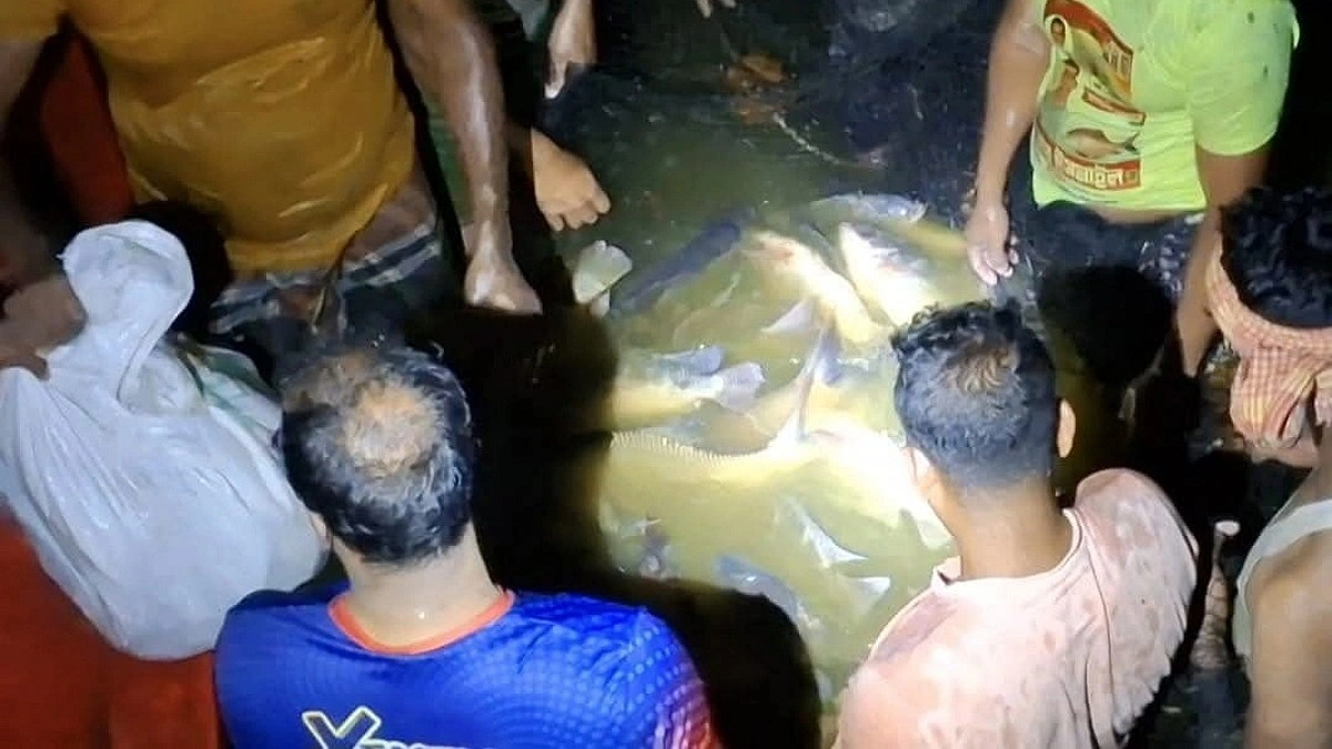 গভীর রাতে সরকারি দীঘির মাছ ধরে নিয়ে গেলেন দুই সহকারী কমিশনার!