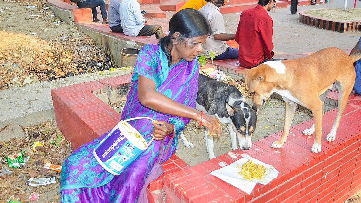 ‘ভালোবাসার আচঁড়-কামড়ে বিষ নেই’