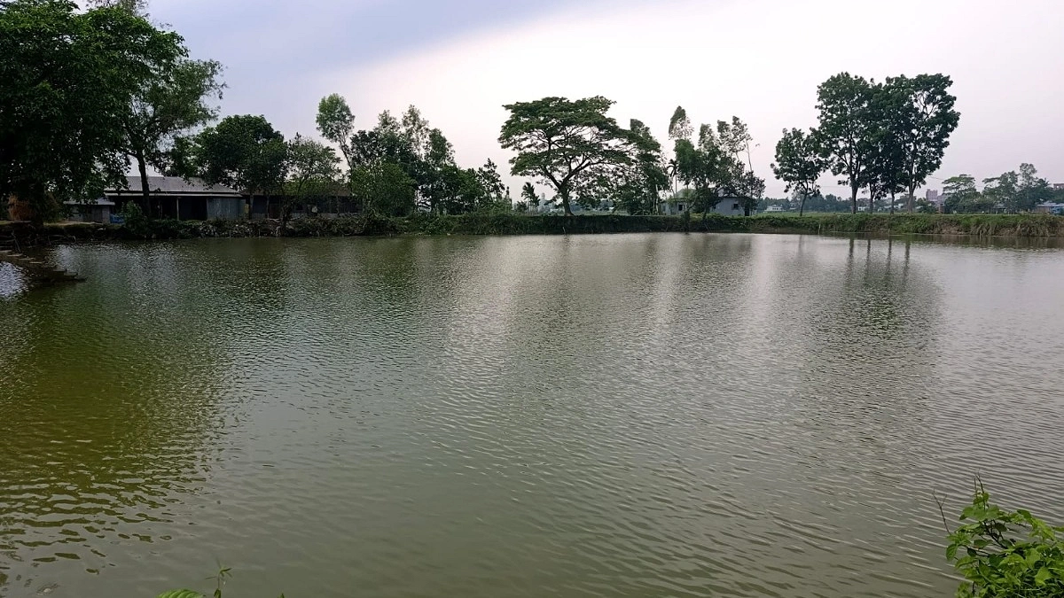 শক্তিশালী চক্রের নিয়ন্ত্রণে ৩৪ পুকুরের ইজারা
