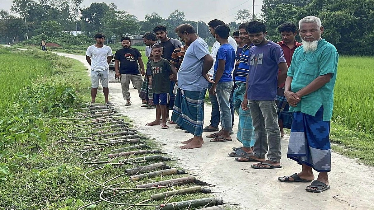 ইঁদুর মেরে মাসে আয় ৪০ হাজার টাকা