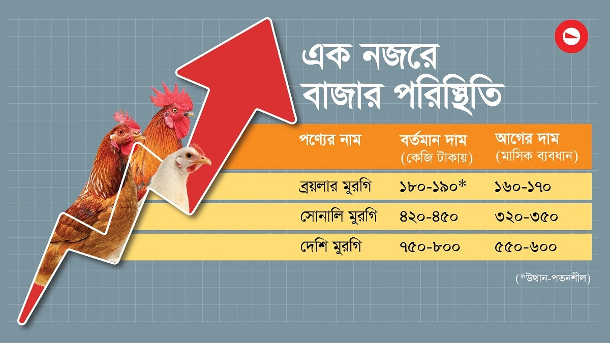 আমিষে আগুন