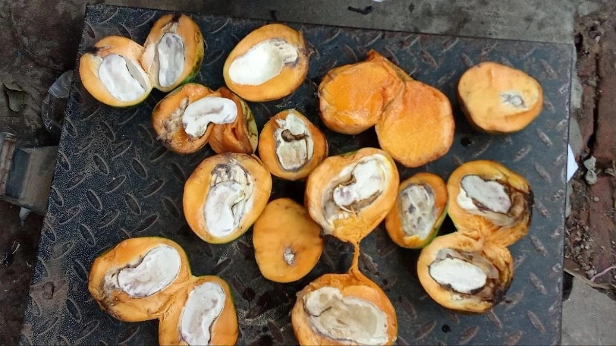 অপরিপক্ব আম বিক্রি, ব্যবসায়ীকে জরিমানা ১ লাখ