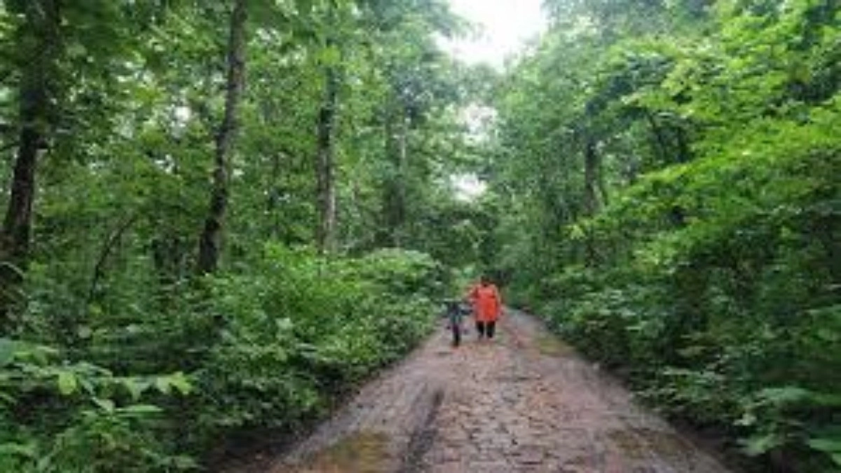 মধুপুর শালবনে ঝুলছিল যুবকের লাশ