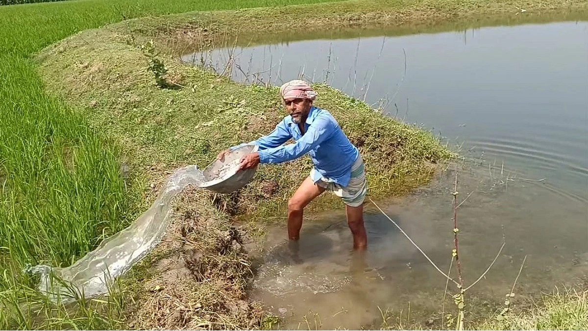 জিকে ক্যানালের পানিতে প্রাণ ফিরছে ফসলি জমিতে