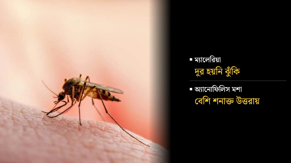 ম্যালেরিয়ার ঝুঁকিতে ঢাকা, আগেই সতর্ক করেছিলেন বিশেষজ্ঞরা