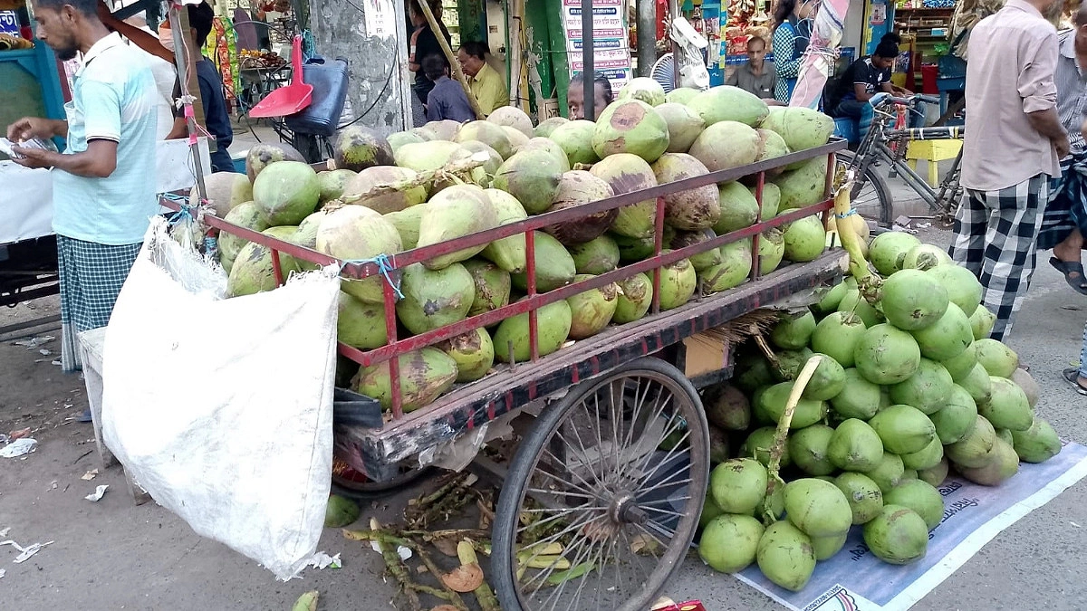 ‘ডাবে মাত্র দুই ঢোক পানি, অথচ দাম ১০০ টাকা’
