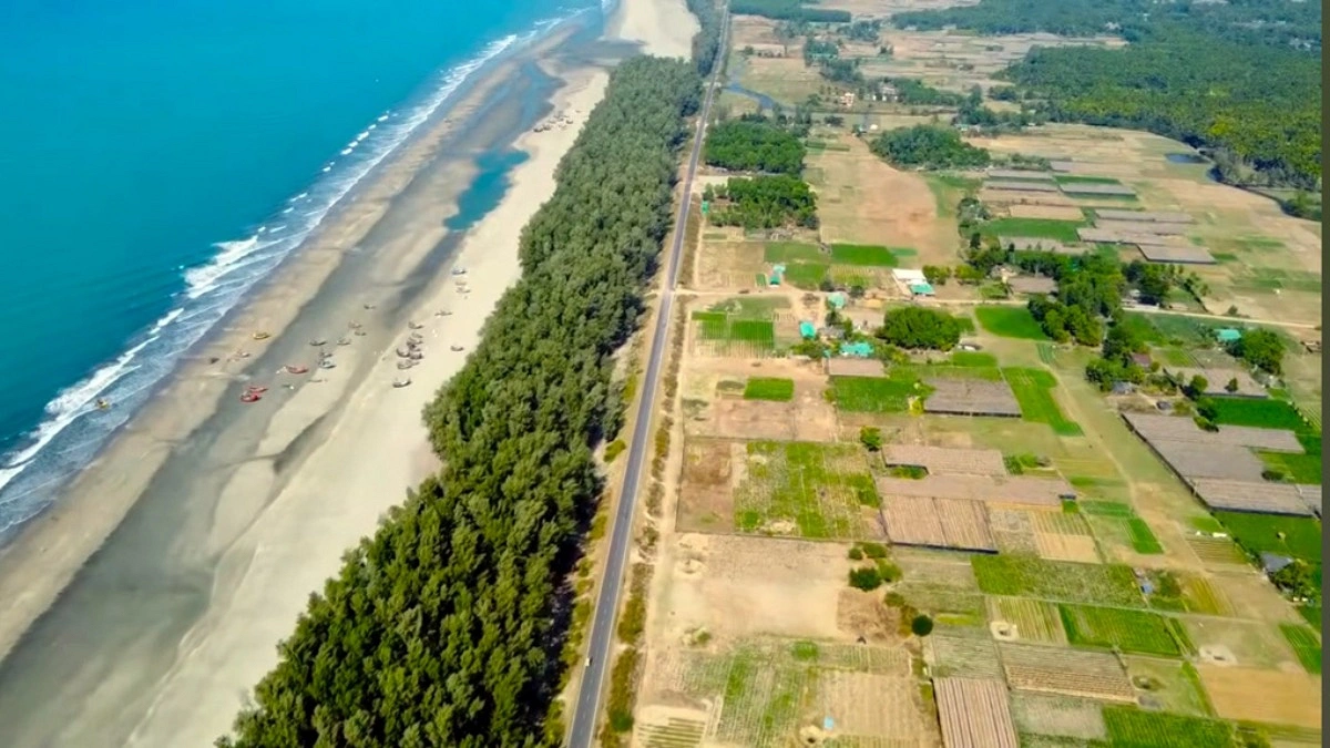 প্রধানমন্ত্রীর সিদ্ধান্তে বাঁচল তিন হাজার গাছ