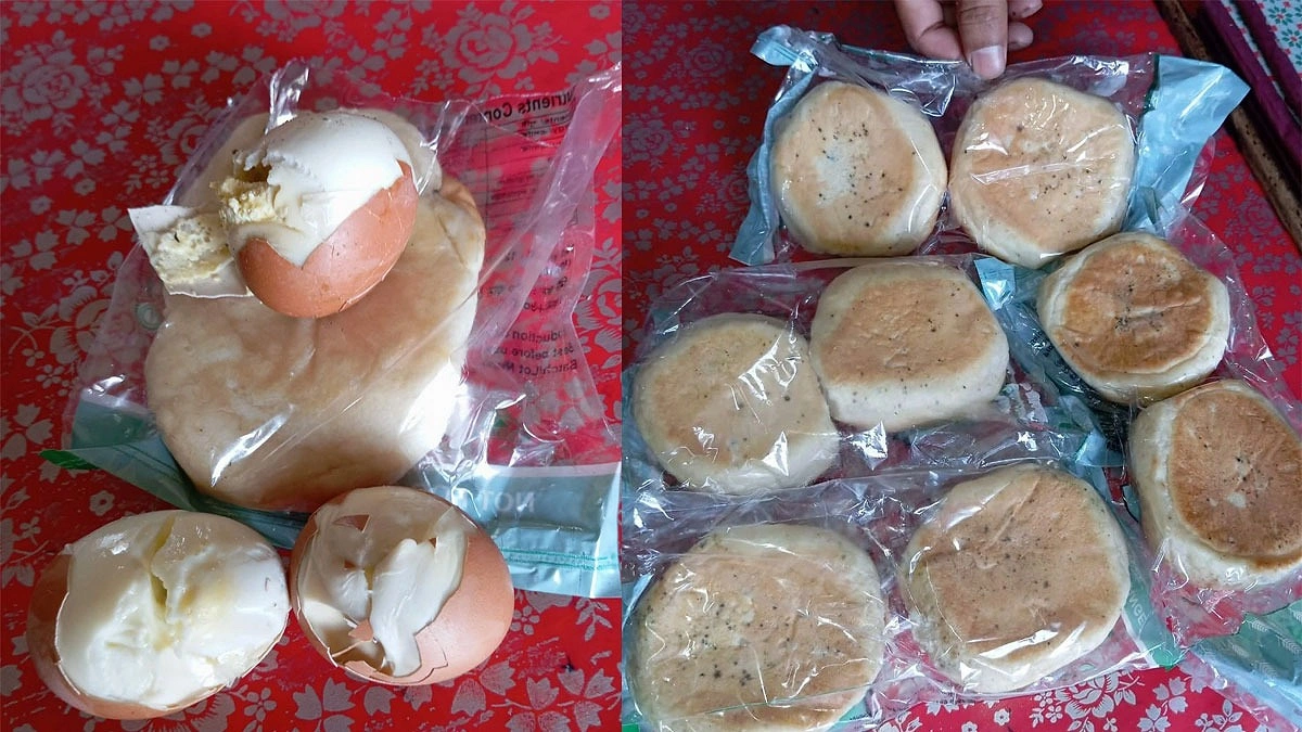 ‘সরকারের কাছে তো পচা ডিম-রুটি চাইনি’