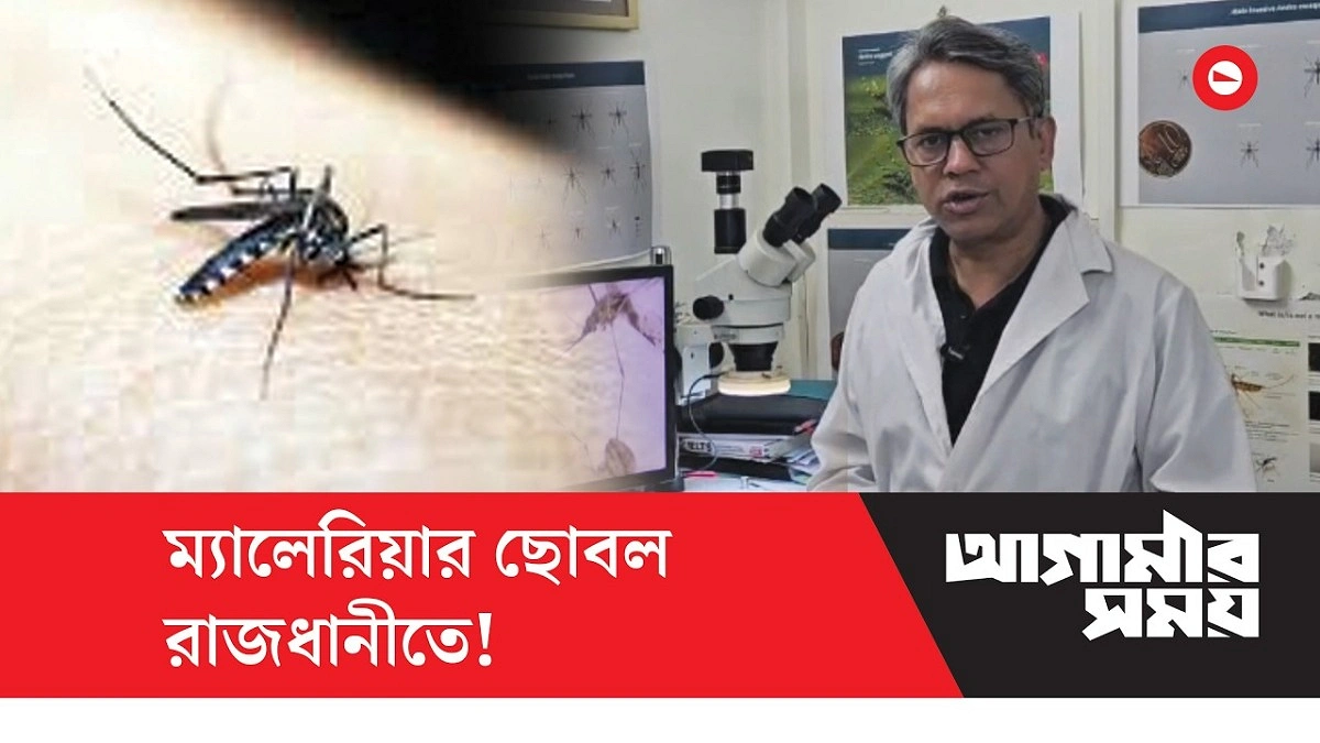 ম্যালেরিয়ার ঝুঁকিতে রাজধানী, সতর্ক করলেন বিশেষজ্ঞ