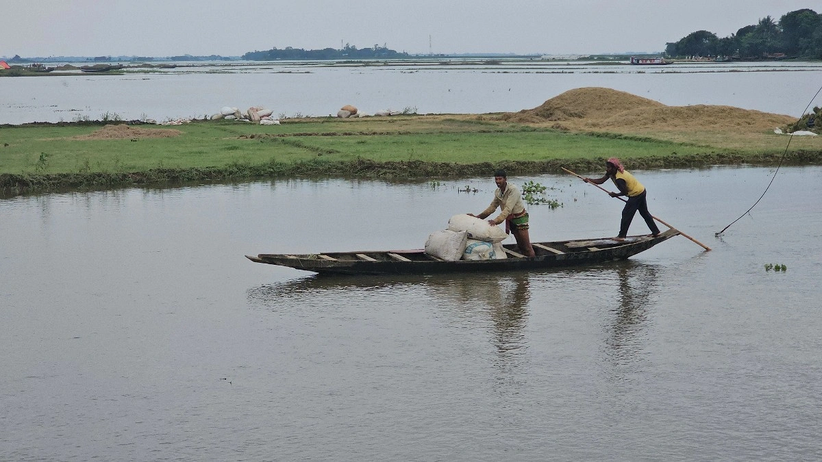 না কাটলে ডুবছে, কাটলে পচছে