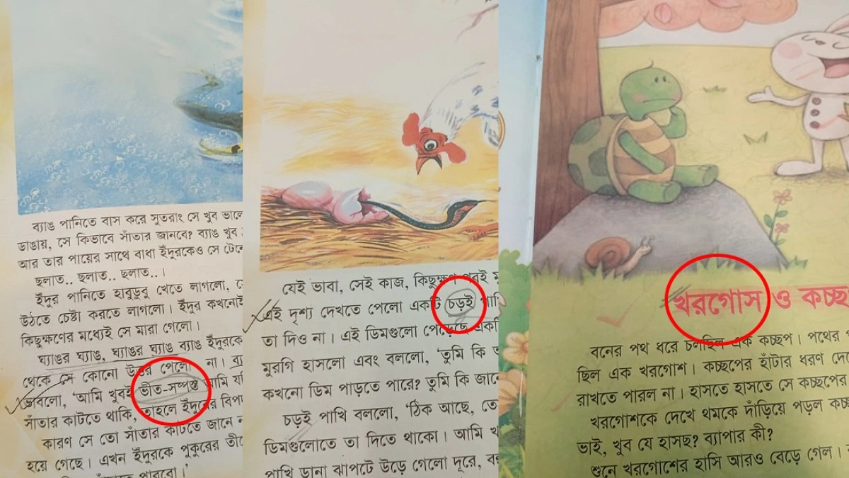 শিশুদের গল্পের বইয়ে পাতায় পাতায় ভুল