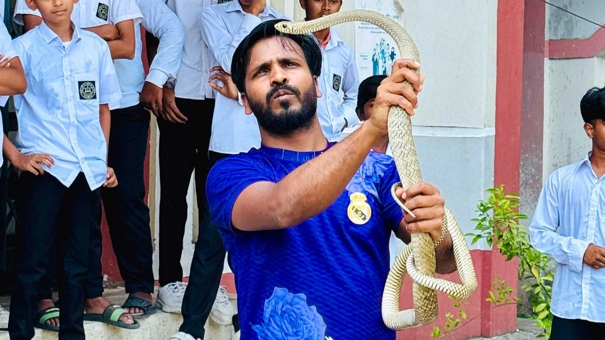 কোনও এলাকায় সাপের খবর পেলেই ছুটে যান মনির