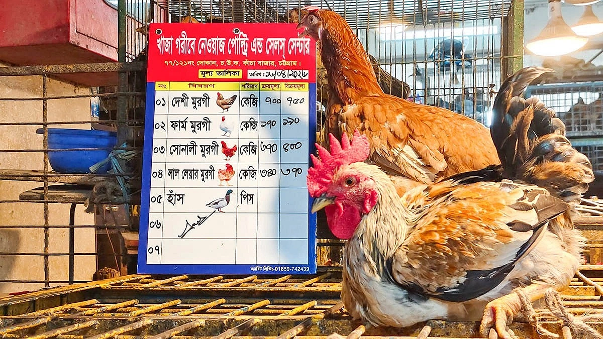 বাজারে দেশি মুরগির সংকট, কেজি ৭৫০