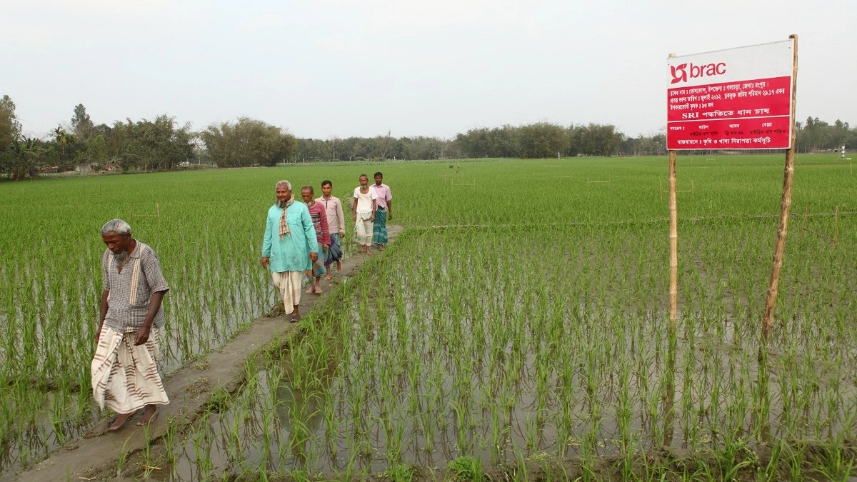 কৃষিখাতসহ সামাজিক কার্যক্রমে ব্র্যাকের ৫৩ কোটি টাকার বিশেষ কর্মসূচি