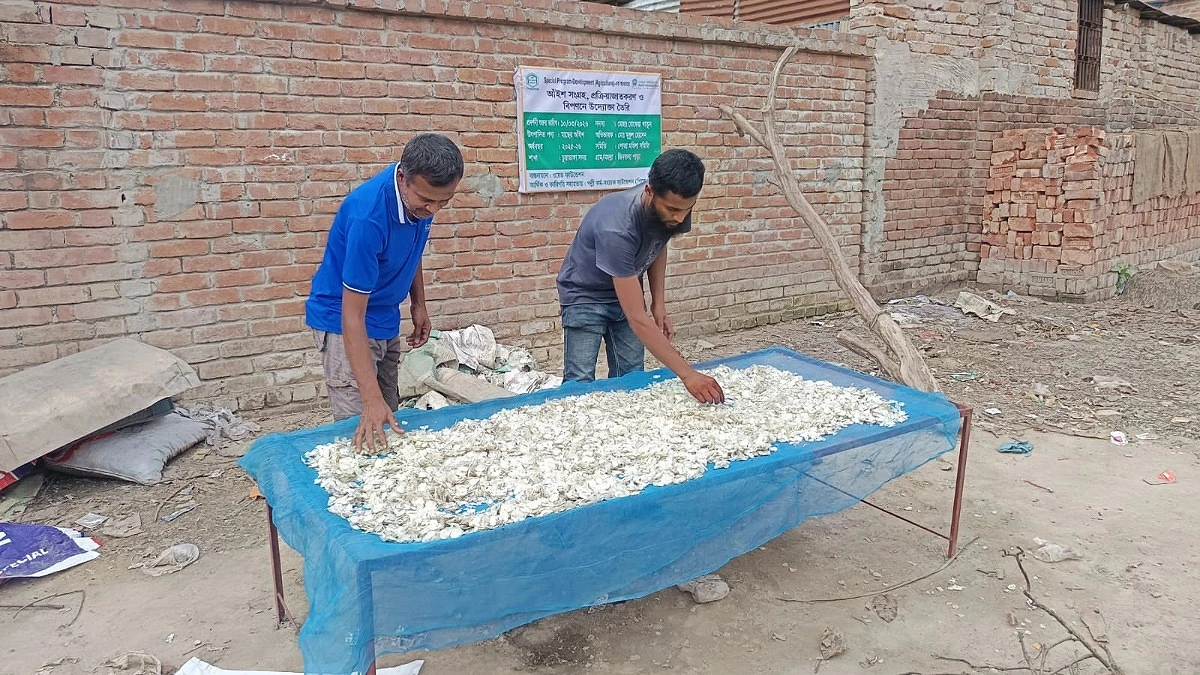 বর্জ্য নয় সম্পদ, মাছের আঁইশে বদলাচ্ছে চুয়াডাঙ্গার অর্থনীতি