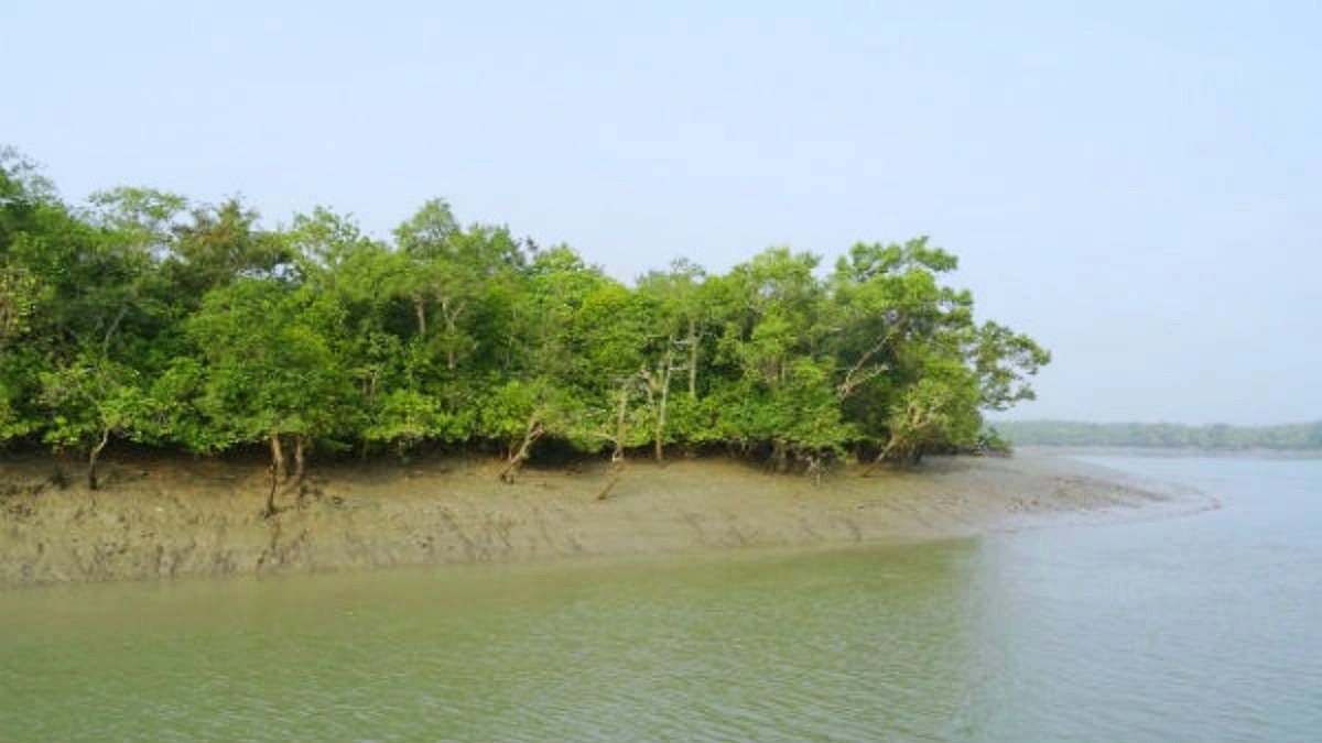 সুন্দরবনে দুই দস্যু বাহিনীর কবল থেকে ২১ জেলে উদ্ধার